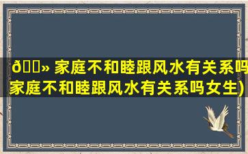 🌻 家庭不和睦跟风水有关系吗(家庭不和睦跟风水有关系吗女生)